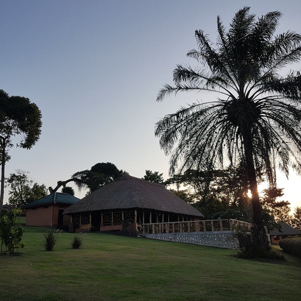 Chimpanzee Forest Lodge